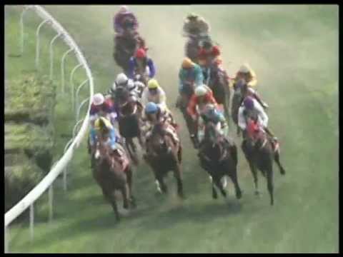 3-24-2012 Race no.280 Macau Guineas (Group 1)