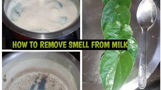 How To Remove Smell From Milk Of Any Reason