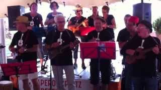 Frome Ukulele Club - I'm a believer