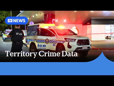 New police figures show crimes down nearly everywhere in NT | ABC NEWS