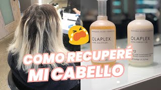 👉 OLAPLEX TRATAMIENTO para CABELLO SECO y MALTRATADO 🤩 Olaplex 1 y 2 COMO SE USA