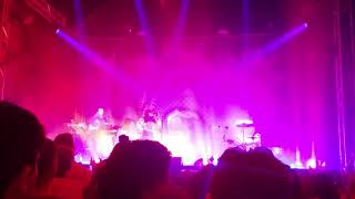 Little Dragon- strobe light