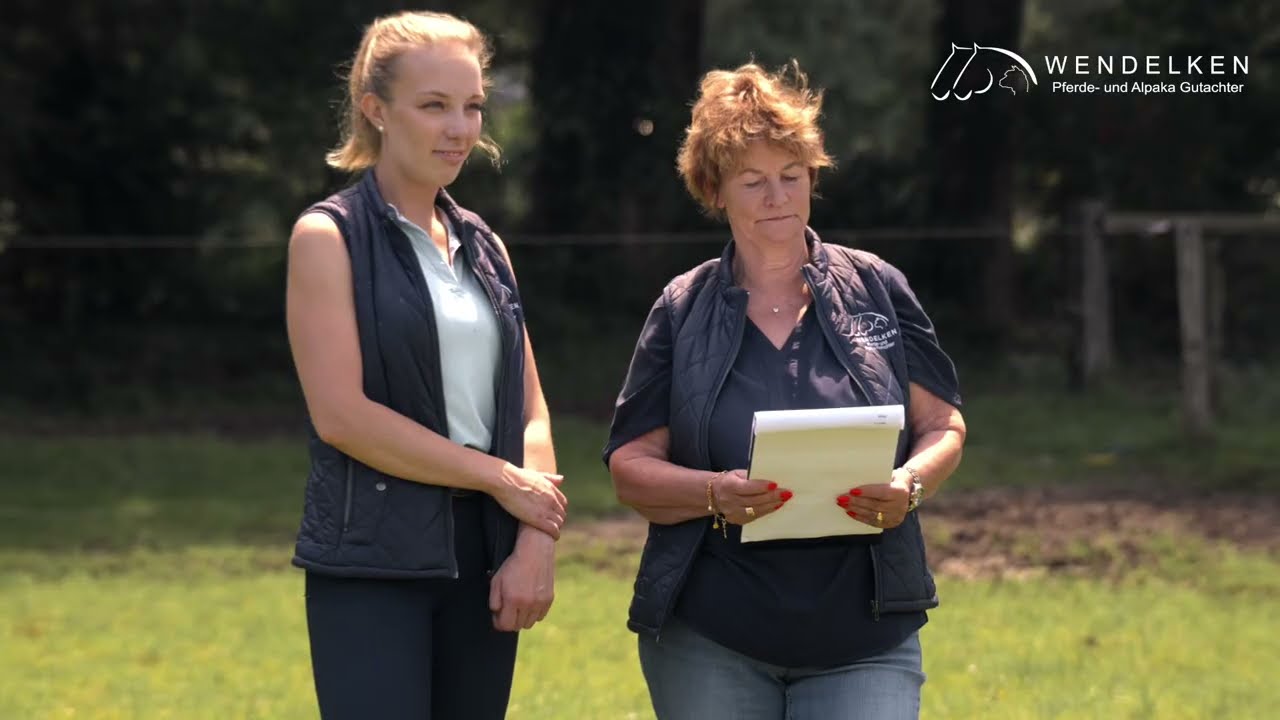 Video für Social Media thumbnail