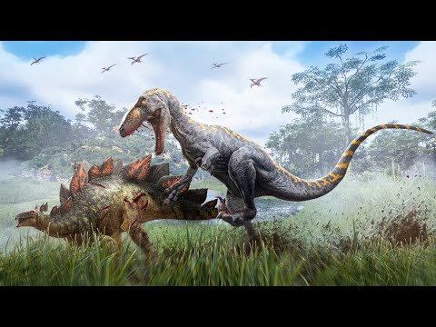 The Raptor Solo Survival Experience…