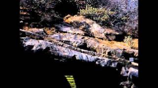 Don Caballero - Palm Trees in the Fecking Bahamas