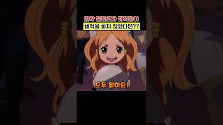 나미와 로빈이 해적을 하지 않았다면?