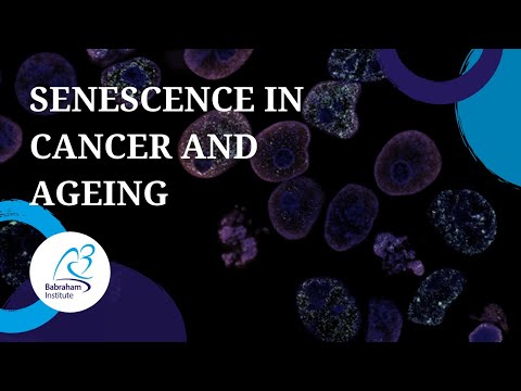 Senescence lifecycle in cancer & ageing - Dr Masashi Narita; Cancer Research UK Cambridge Institute