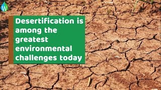 WORLD DAY TO COMBAT DESERTIFICATION AND DROUGHT 2017 (Waterpedia)