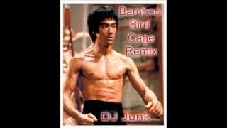Bamboo Bird Cage Remix by DJ Junk