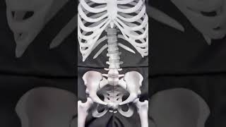 Vídeo sobre o produto