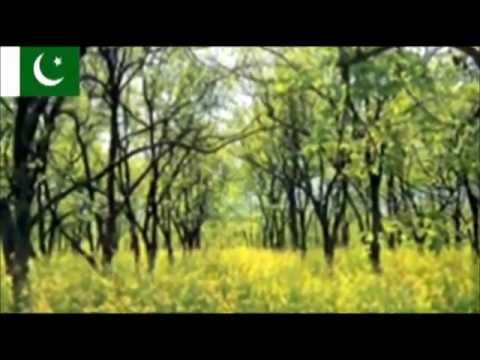 Reh Khushiyan Manda Malika by Alam Lohar - Pakistan Song