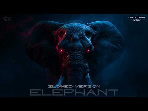 Christopher Ladex - ELEPHANT (Slowed Version) [TikTok]
