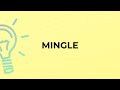 What is the meaning of the word MINGLE?