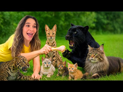 FEEDING ALL MY CATS IN ONE VIDEO!
