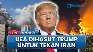 Trump 'Kompori' UEA Tekan Iran secara Langsung, Usulkan Rebut Wilayah Strategis Pulau Lavan