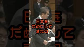 この憲法が日本をダメにした #石原慎太郎 #政治