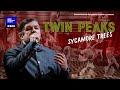 Twin Peaks Sycamore Trees The Danish National Symphony Orchestra Live