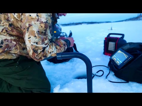 This Bay is full of perch &amp; Burbot!