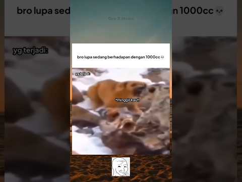 🐶: untung gua cepet sadar..