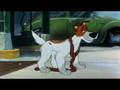 Oliver And Company - Why Should I Worry ...