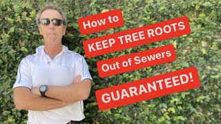 How to Keep Tree Roots Out of Sewers - Guaranteed!
