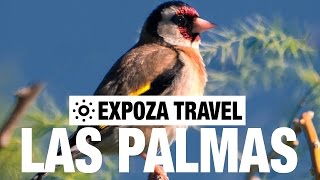 Las Palmas (Spain) Vacation Travel Video Guide