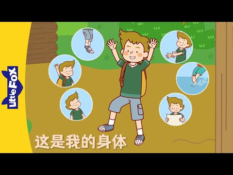 人的身體部位