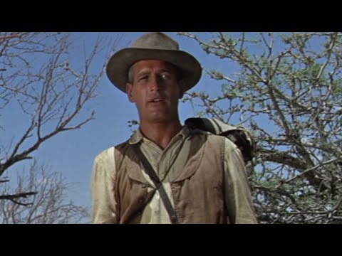 Paul Newman - Hombre (1967) | "You've got a lot of hard bark on you" | Classic Westerns