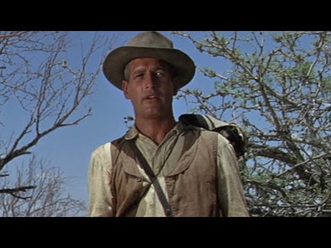 Paul Newman - HOMBRE (1967) Scenes | A Drama of the Good, the Bad and the Ugly