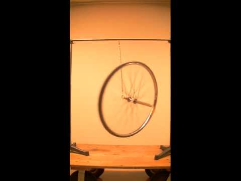 Wheel Precession
