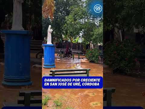 Damnificados por creciente en San José de Uré