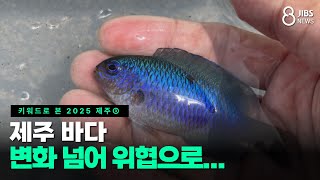 [키워드로 본 2025 제주] ➂제주 바다 변화 넘어 위협으로...