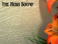 Echo - The Hush Sound