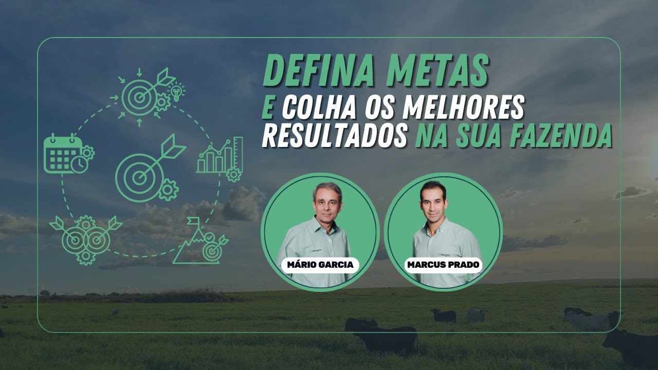 Vídeo #14 - Defina metas e colha os melhores resultados na sua fazenda