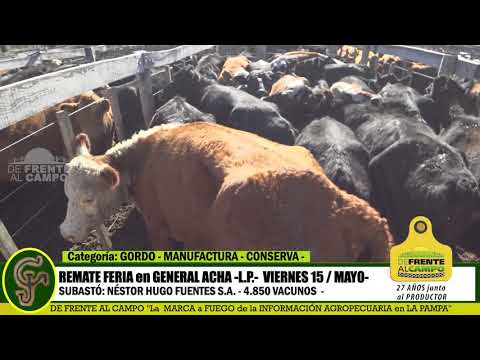DE FRENTE AL CAMPO junto al SECTOR PRODUCTIVO - REMATE NHF S.A. -15/MAYO- GRAL. ACHA - PARTE 1-