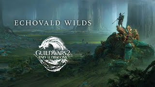 Авторы Guild Wars 2 представили новую область — Echovald Wilds