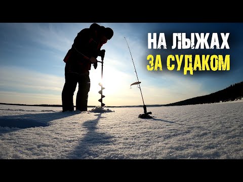 Где зимует судак?! Поиск судак в целине с эхолотом Практик 8