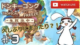 #3 ドンキーと旅日記!! 「ドンキーの世界だって救わないといけないんだ!!これが僕のやり方だ！」（ Journey with Donkey Kong) ）