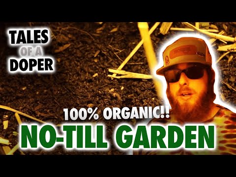 Tales Of A Doper 7.5 | 100% Organic No-Till Garden (NO Bottled Nutrients!)