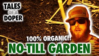 Tales Of A Doper 7.5 | 100% Organic No-Till Garden (NO Bottled Nutrients!)
