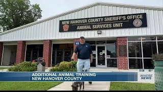 New Hanover County Animal Services’ new partnerships aim to help “Clear the Shelters”
