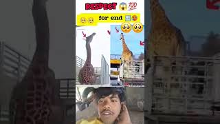 Download lagu MashAllah ☝🏻😇 Greatest Save 😍 #allah #shorts #status #respect mp3