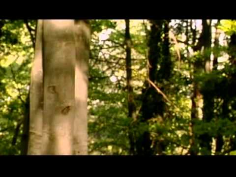 Hofmann's Potion (2002) - part 1/4