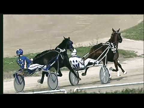 Napoli Trotto 23/10/2022 - 2ª corsa