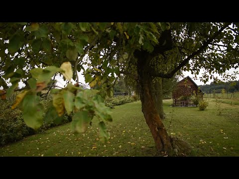 MykaNEWS - "Ekologiczna Zagroda 2021"