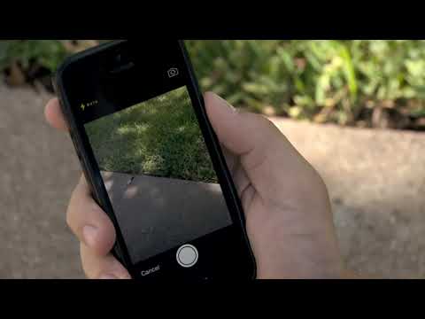 How to Use the Austin 3-1-1 Mobile App