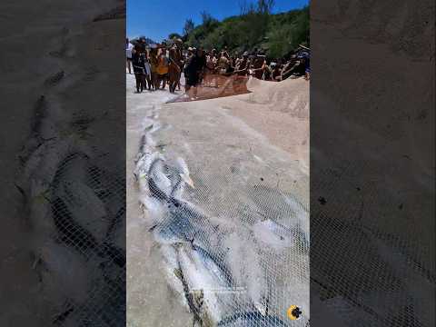 UNBELIEVABLE CATCH! O mar transbordou de vida em Arraial do Cabo RJ Brasil 🇧🇷 #shorts​