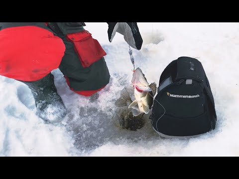 Toinen päivä vieraiden kanssa vesillä - Kuhaa harmaaseen päivään - (Kuhapilkillä - Päivä 2)