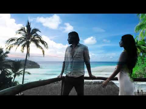 EL AMOR ES FIEL   THOMAS CHAMBERT