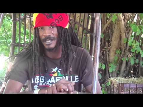 Rassi Hardknocks: jingle for Jungle Flash Festival 2015